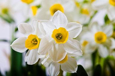 马力欧派对新作步银河战士后尘 未发售已提前偷跑